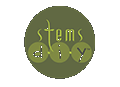 Stems D I Y