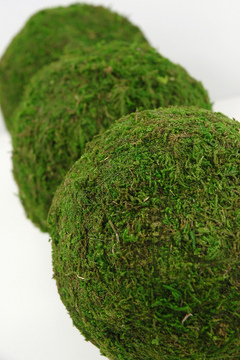 6" Moss covered balls are fun and fresh.  Available in many sizes especially if you choose to make them yourself.