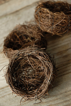 3" nests available for $4.50 each