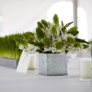 Star of Bethlehem clustered in Zinc squares and wheat grass for the trays.  Frosted votives and white linens complete the look.  Star of Bethlehem available for $1.75 per stem.