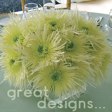Spider Mums that are easy, durable and cost effective.
$2.75 per stem